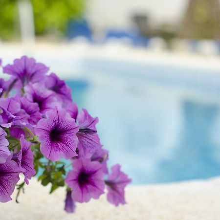 La Crisalida Retreats El Albir Bagian luar foto