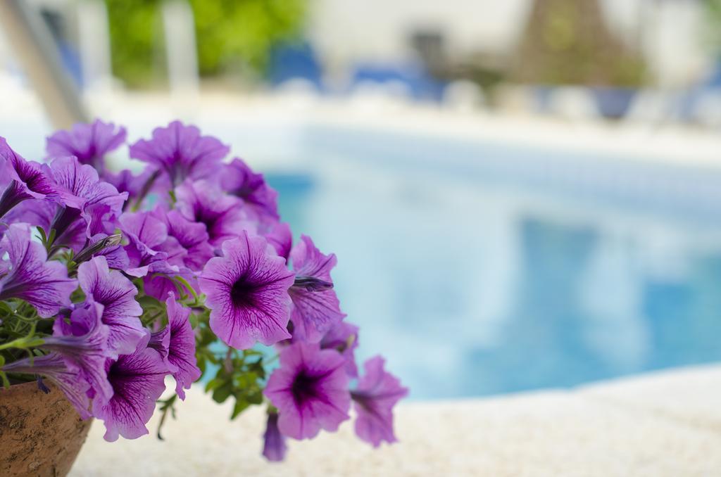 La Crisalida Retreats El Albir Bagian luar foto